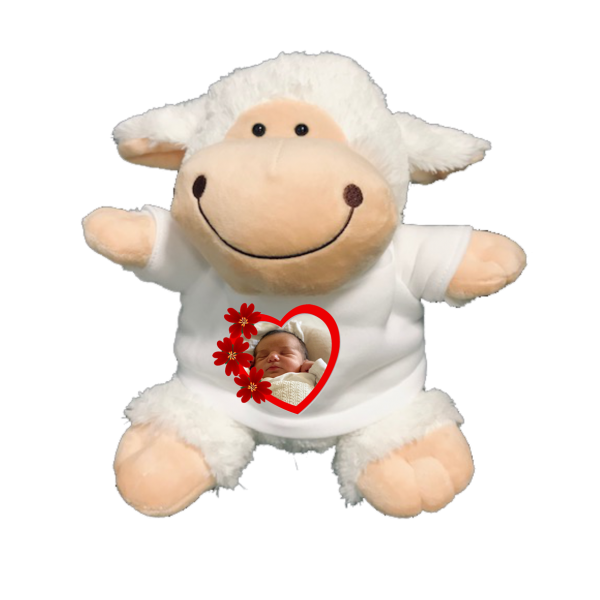 knuffel-schaap